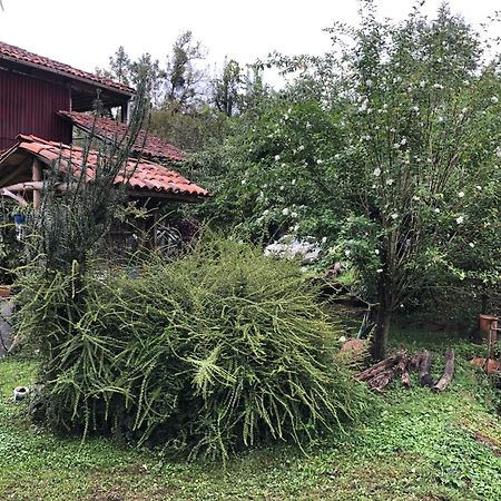Gomis Mta Riverside Ozurget'i Esterno foto