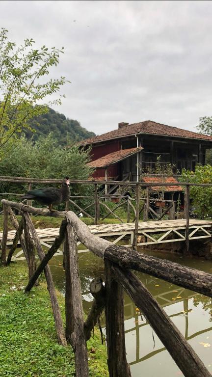 Gomis Mta Riverside Ozurget'i Esterno foto