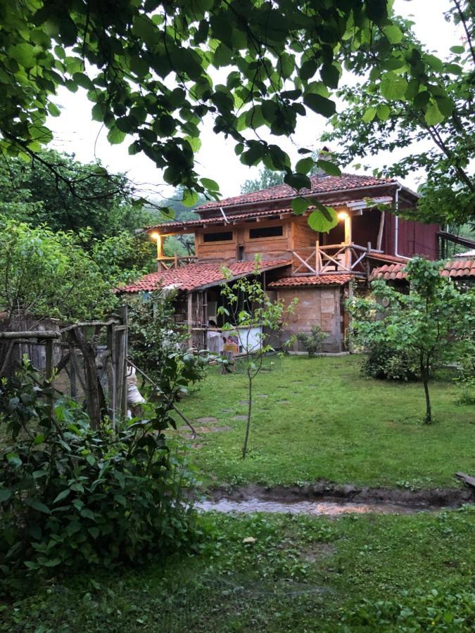 Gomis Mta Riverside Ozurget'i Esterno foto