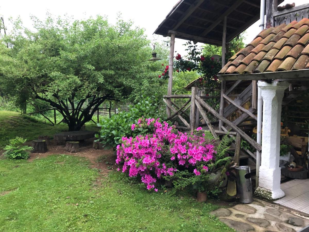 Gomis Mta Riverside Ozurget'i Esterno foto