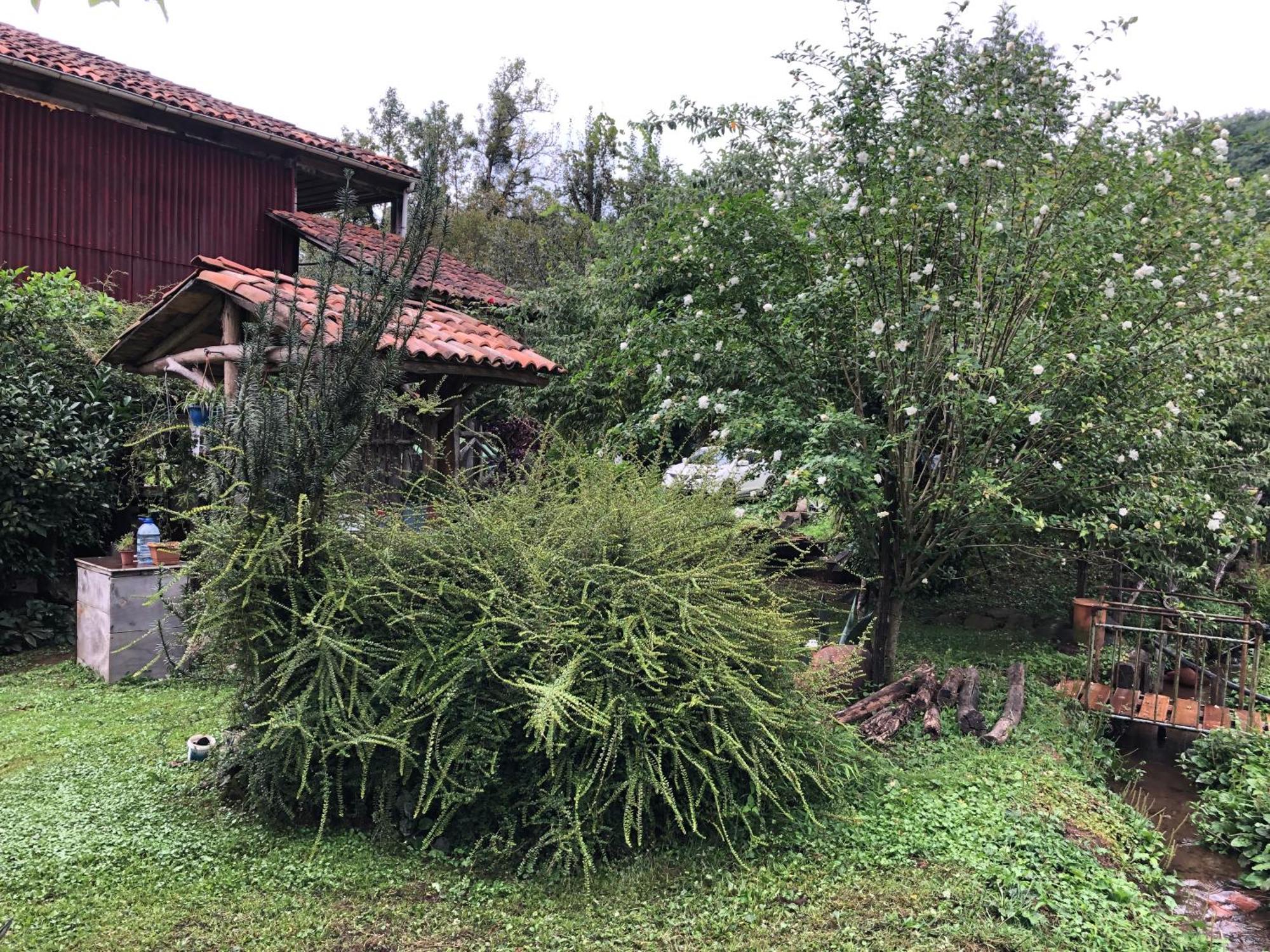 Gomis Mta Riverside Ozurget'i Esterno foto